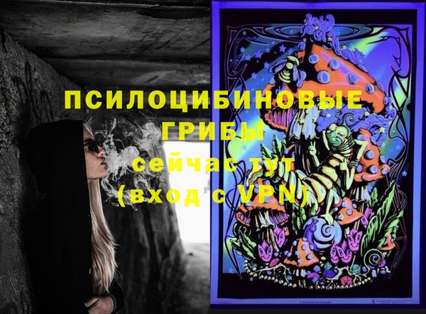 героин Михайлов