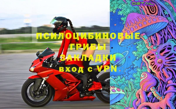 гашик Аркадак