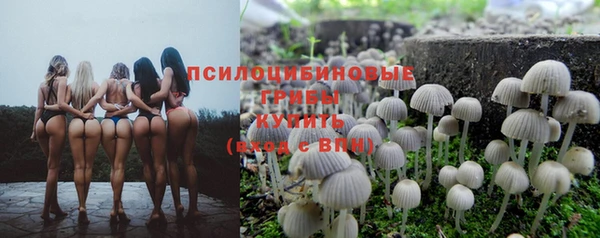 гашик Аркадак
