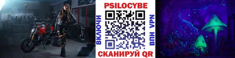 Галлюциногенные грибы Cubensis  наркотики  Ржев 