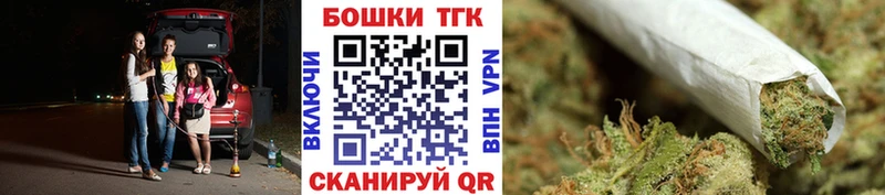 купить  цена  Ржев  Конопля план 
